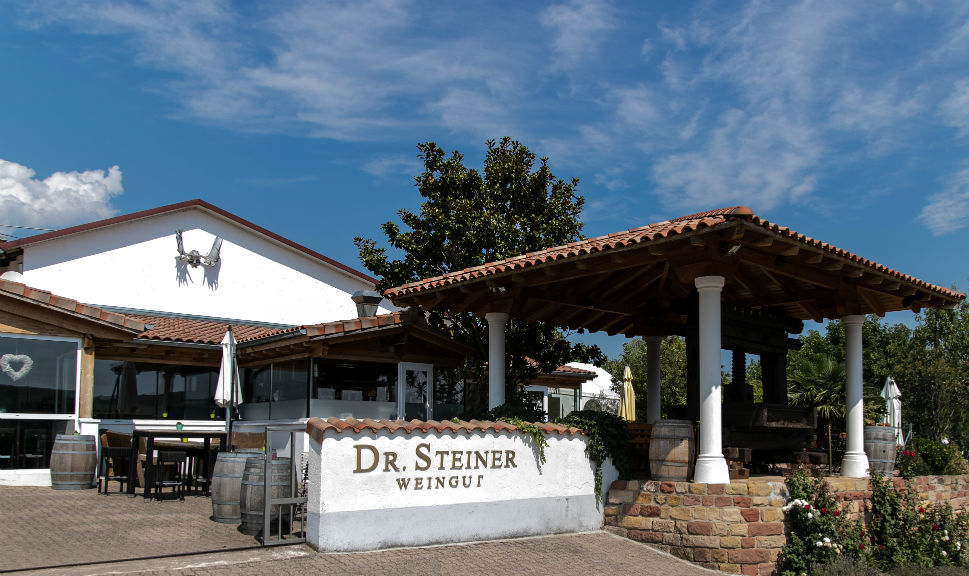Heiraten Weingut Pfalz Dr. Steiner